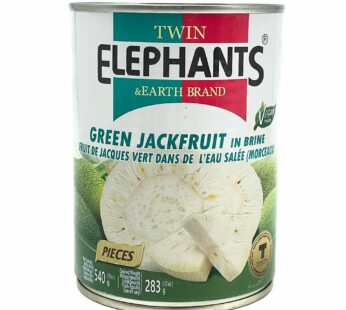 Green Jackfruit in Brine – Twin Elephants and Earth 540g